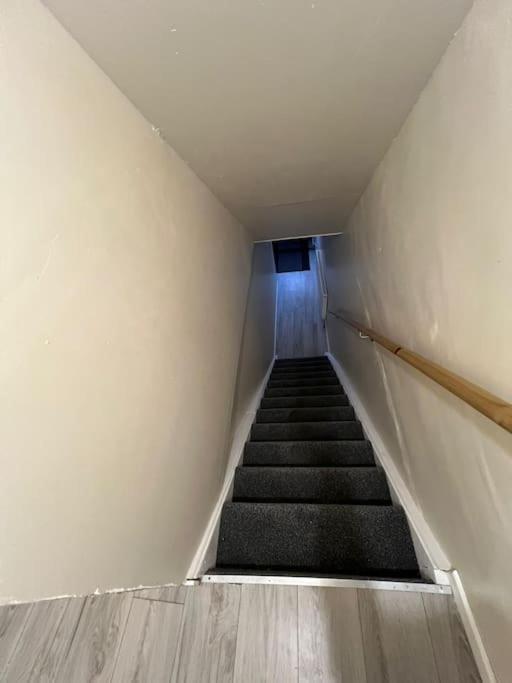 Haven - Beautiful 3 Bedroom House Ballynahinch Buitenkant foto