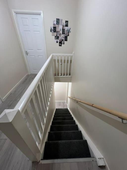 Haven - Beautiful 3 Bedroom House Ballynahinch Buitenkant foto