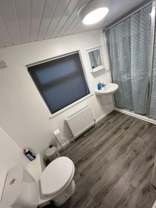 Haven - Beautiful 3 Bedroom House Ballynahinch Buitenkant foto