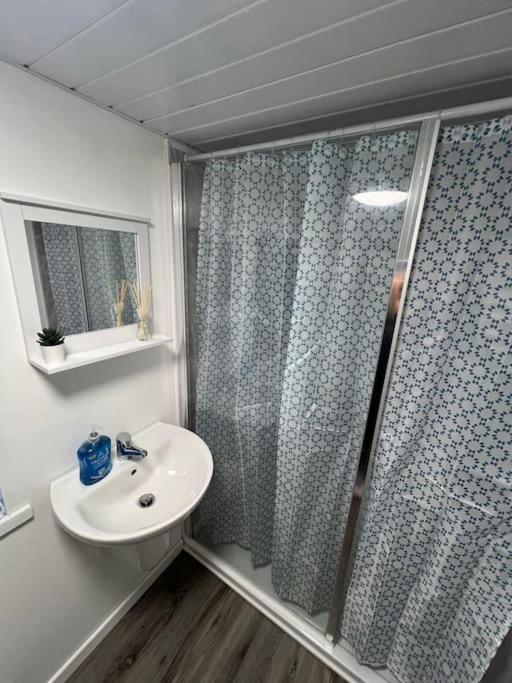Haven - Beautiful 3 Bedroom House Ballynahinch Buitenkant foto